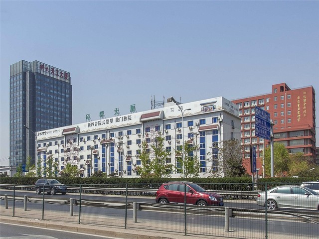 东营金钗石斛批发价格